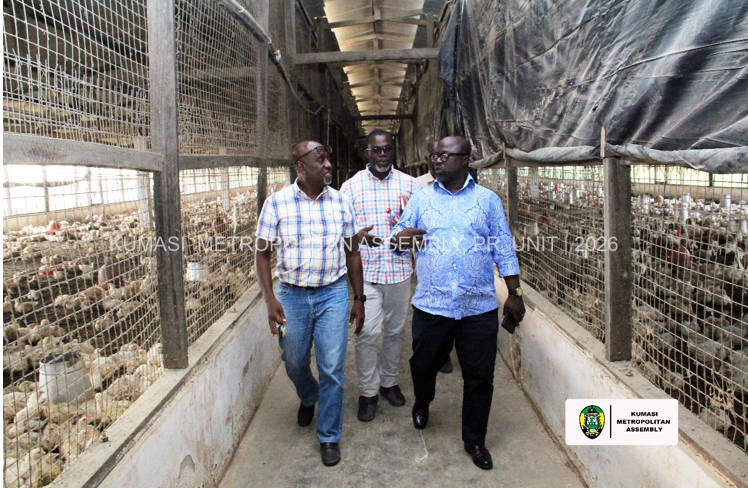 KUMASI MAYOR INSPECTS BROILER PRODUCTION AT DARKO FARMS UNDER “NKOKO NKITINKITI” INITIATIVE